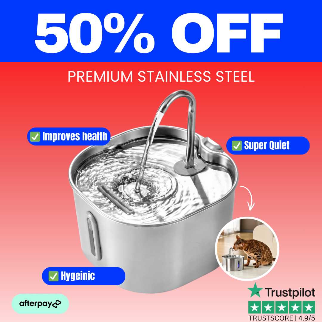 KittySpout - HappyPets