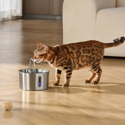 KittyFresh - HappyPets