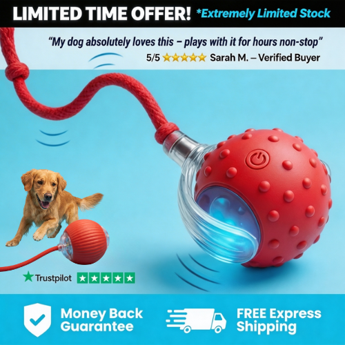 ActiveBall - HappyPets