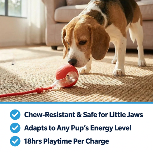 ActiveBall - HappyPets